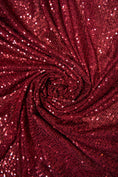 Load image into Gallery viewer, Iridescent Ruby Striped Sequin Fabric on Stretch Mesh - Shiny Glitter Sequins for Sewing, Crafting, Apparel, Costumes, DIY Projects, Prom.