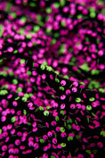 Load image into Gallery viewer, Neon Velvet Fabric, Velvet Sequin Fabric, Stretch Velvet by the Yard, Luxury Fabrics for Dresses, Fashion Fabric
