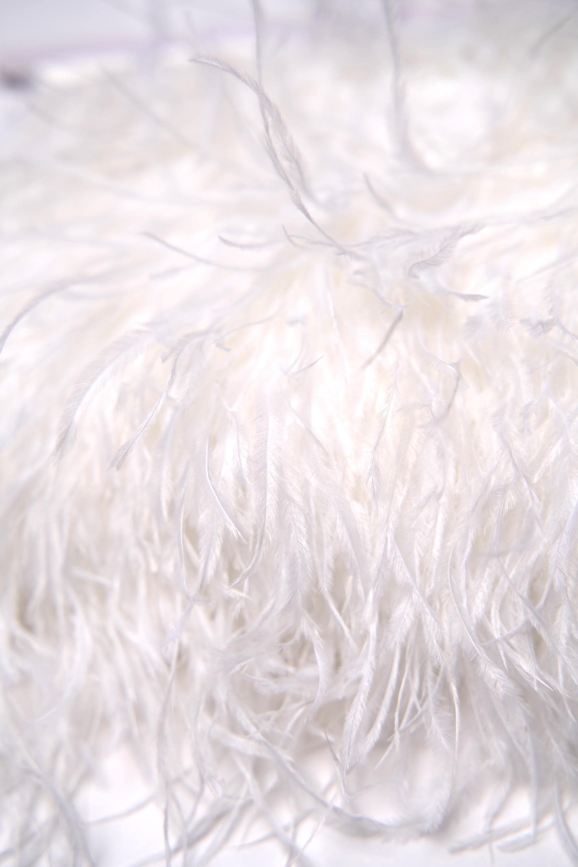 White Ostrich Feather Trim, Fringe with Satin Ribbon, Feather Trimming By The Yard, Ostrich Hair Trim, Feather Decoration