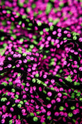 Load image into Gallery viewer, Neon Velvet Fabric, Velvet Sequin Fabric, Stretch Velvet by the Yard, Luxury Fabrics for Dresses, Fashion Fabric
