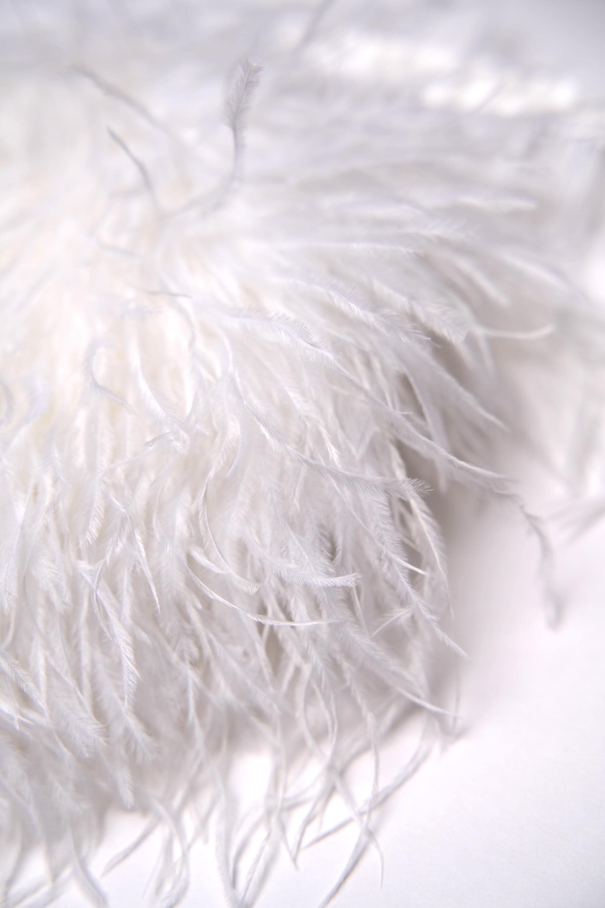 White Ostrich Feather Trim, Fringe with Satin Ribbon, Feather Trimming By The Yard, Ostrich Hair Trim, Feather Decoration